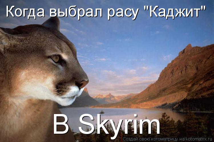 Котоматрица: Когда выбрал расу "Каджит" В Skyrim