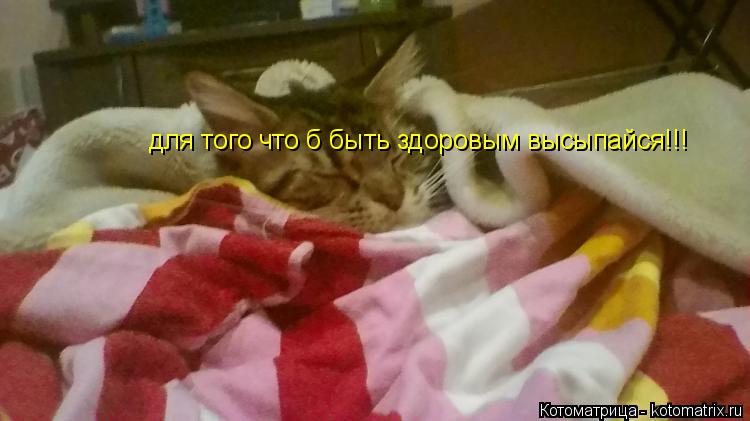 Котоматрица: для того что б быть здоровым высыпайся!!!