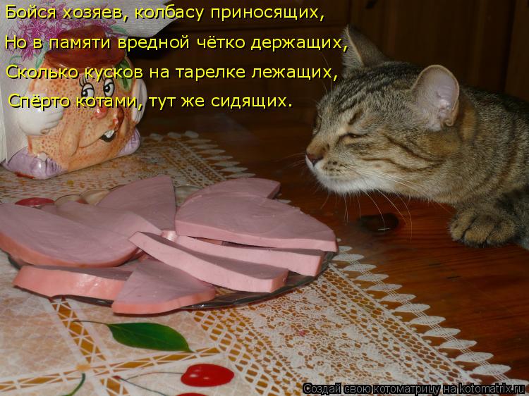 Котоматрица: Бойся хозяев, колбасу приносящих, Но в памяти вредной чётко держащих, Сколько кусков на тарелке лежащих, Спёрто котами, тут же сидящих.