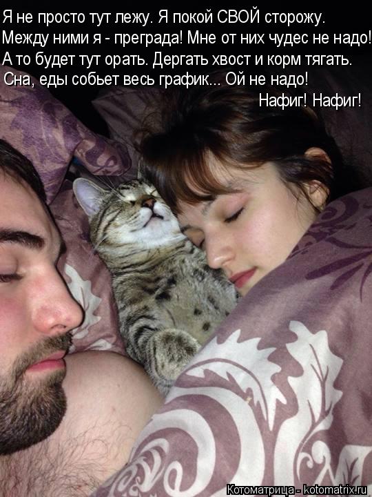 Котоматрица: Между ними я - преграда! Мне от них чудес не надо! А то будет тут орать. Дергать хвост и корм тягать. Сна, еды собьет весь график... Ой не надо!  Н