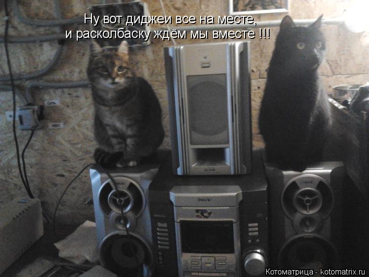 Котоматрица: Ну вот диджеи все на месте, Ну вот диджеи все на месте, и расколбаску ждём мы вместе !!! и расколбаску ждём мы вместе !!!