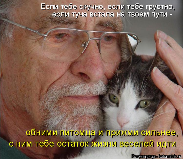 Котоматрица: Если тебе скучно, если тебе грустно,  если туча встала на твоем пути - обними питомца и прижми сильнее,  с ним тебе остаток жизни веселей идти