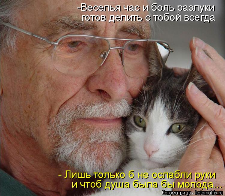 Котоматрица: готов делить с тобой всегда  -Веселья час и боль разлуки - Лишь только б не ослабли руки и чтоб душа была бы молода...
