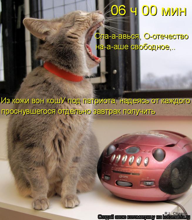 Котоматрица: 06 ч 00 мин Сла-а-авься, О-отечество на-а-аше свободное,.. проснувшегося отдельно завтрак получить Из кожи вон кошУ под патриота, надеясь от каж