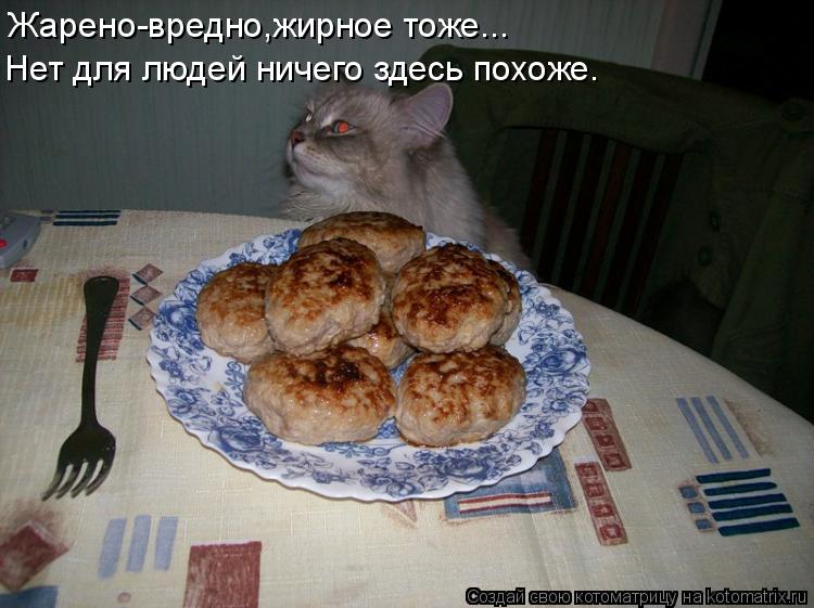 Нет для людей ничего здесь похоже. Жарено-вредно,жирное тоже...... Котоматрица: Нет для людей ничего здесь похоже. Жарено-вредно,жирное тоже...