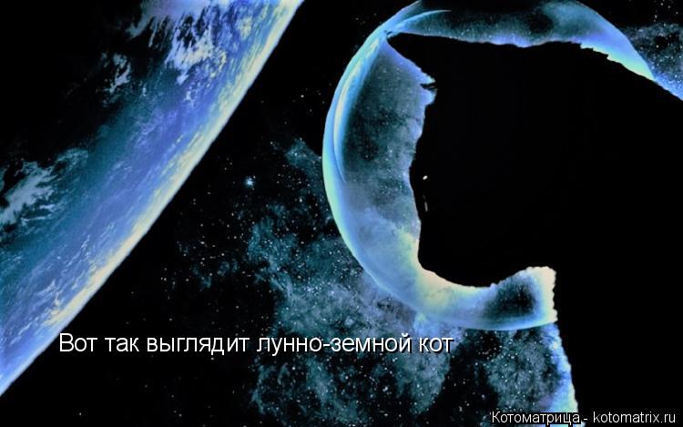 Котоматрица: Вот так выглядит лунно-земной кот