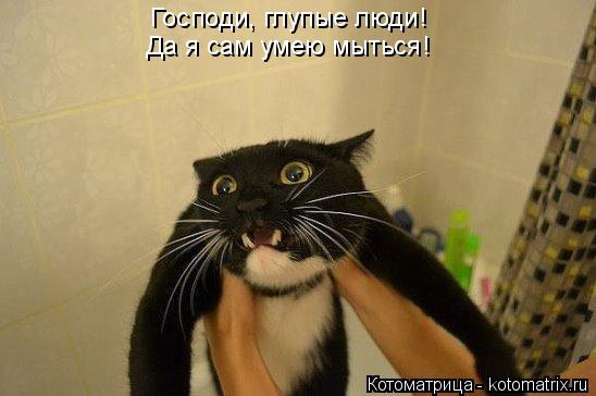Котоматрица: Господи, глупые люди! Да я сам умею мыться!