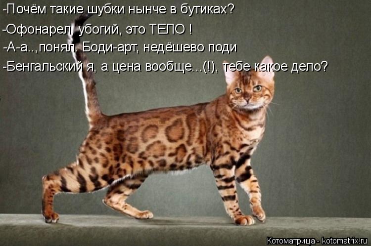 Котоматрица: -Почём такие шубки нынче в бутиках? -Офонарел, убогий, это ТЕЛО ! -А-а..,понял. Боди-арт, недёшево поди -Бенгальский я, а цена вообще...(!), тебе как