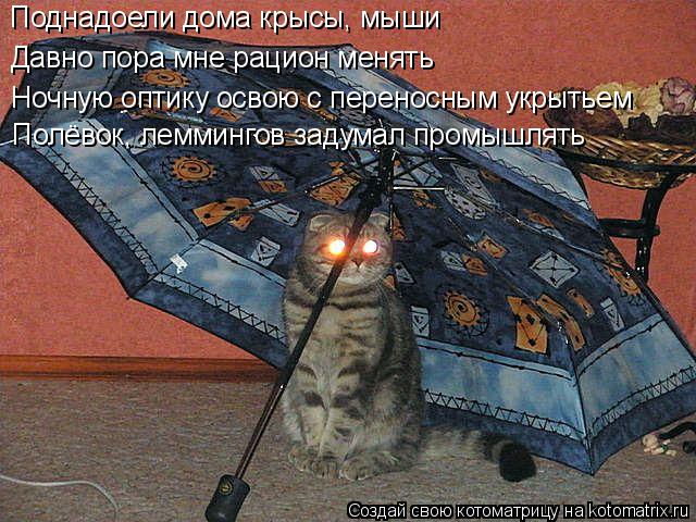 Котоматрица: Поднадоели дома крысы, мыши Давно пора мне рацион менять Ночную оптику освою с переносным укрытьем Полёвок, леммингов задумал промышлять