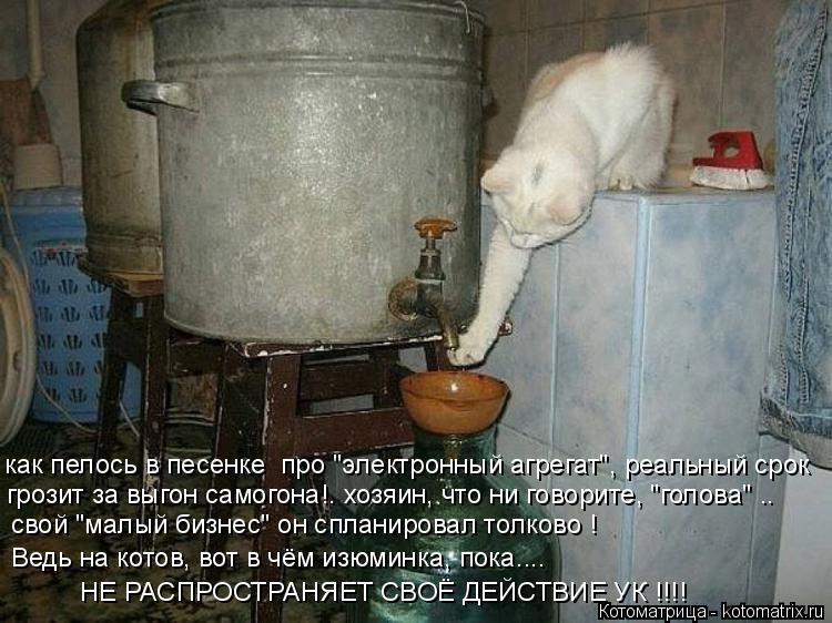 Котоматрица: как пелось в песенке  про "электронный агрегат", реальный срок грозит за выгон самогона!. хозяин, что ни говорите, "голова" .. свой "малый бизне