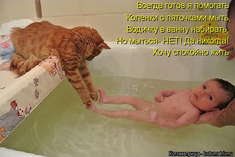 Котоматрица: Всегда готов я помогать Коленки с пяточками мыть, Но мыться- НЕТ! Да никогда! Водичку в ванну набирать, Хочу спокойно жить