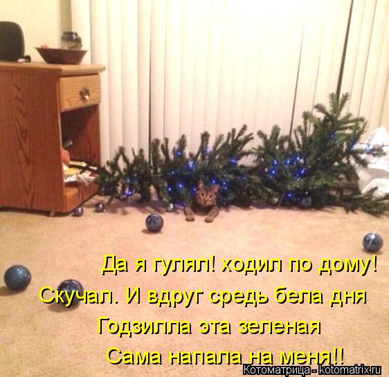 Котоматрица: Да я гулял! ходил по дому! Скучал. И вдруг средь бела дня Годзилла эта зеленая Сама напала на меня!!