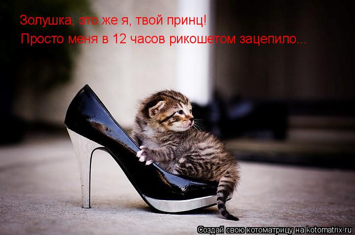 Котоматрица: Золушка, это же я, твой принц! Просто меня в 12 часов рикошетом зацепило...