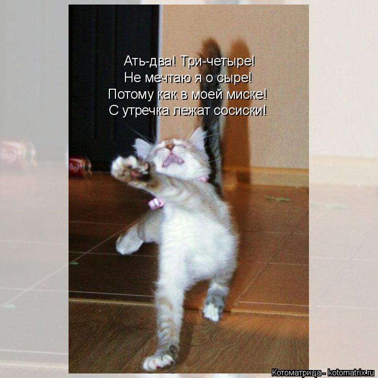 Котоматрица: Ать-два! Три-четыре! Не мечтаю я о сыре! Потому как в моей миске! С утречка лежат сосиски!