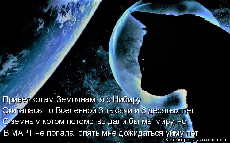 Котоматрица: Привет котам-Землянам, я с Нибиру Скиталась по Вселенной 3 тысячи и 6 десятых лет С земным котом потомство дали бы мы миру, но В МАРТ не попала