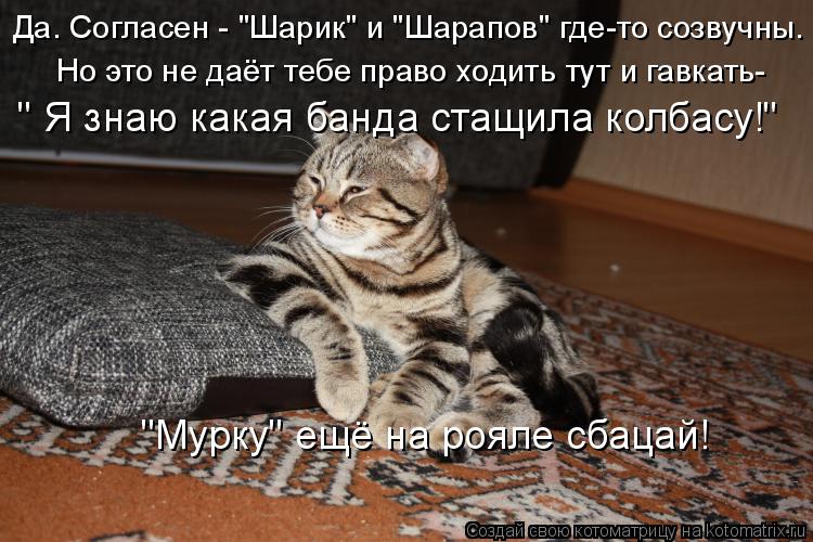 Котоматрица: Да. Согласен - "Шарик" и "Шарапов" где-то созвучны. Но это не даёт тебе право ходить тут и гавкать- " Я знаю какая банда стащила колбасу!" "Мурку" 