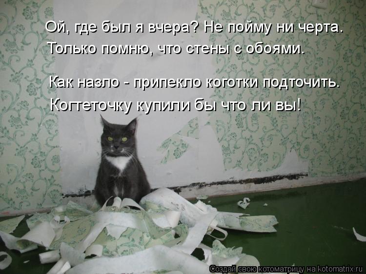Котоматрица: Ой, где был я вчера? Не пойму ни черта. Только помню, что стены с обоями. Как назло - припекло коготки подточить. Когтеточку купили бы что ли вы