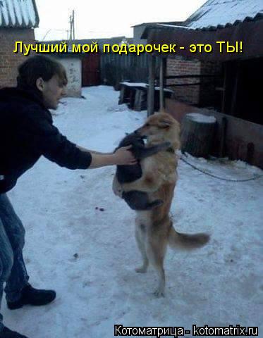 Котоматрица: Лучший мой подарочек - это ТЫ!