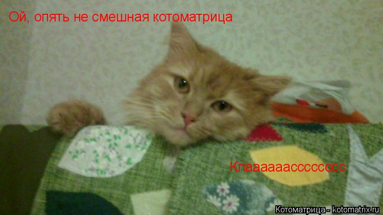 Котоматрица: Ой, опять не смешная котоматрица Клаааааасссссссс