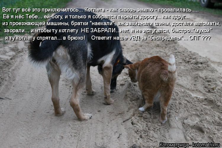 Котоматрица: Вот тут всё это приключилось... Котлета - как сквозь землю - провалилась..... Её я нёс Тебе... ей-богу, и только я собрался перейти дорогу... как вд