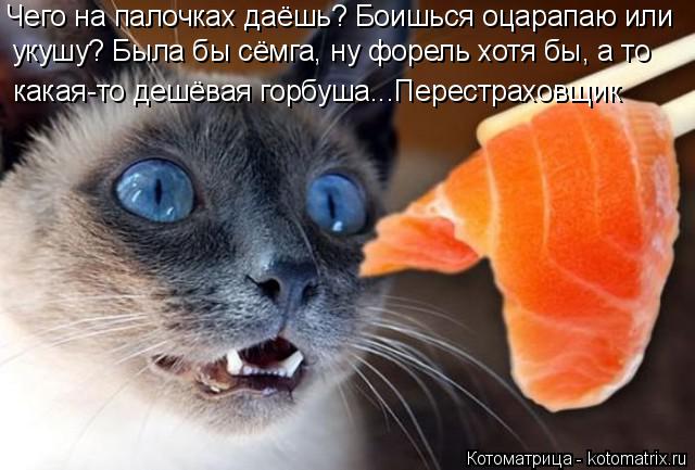 Котоматрица: Чего на палочках даёшь? Боишься оцарапаю или укушу? Была бы сёмга, ну форель хотя бы, а то какая-то дешёвая горбуша...Перестраховщик