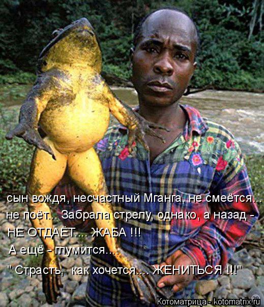 Котоматрица: сын вождя, несчастный Мганга, не смеётся... не поёт... Забрала стрелу, однако, а назад - НЕ ОТДАЁТ.... ЖАБА !!! А ещё - глумится....  " Страсть,  как хоч