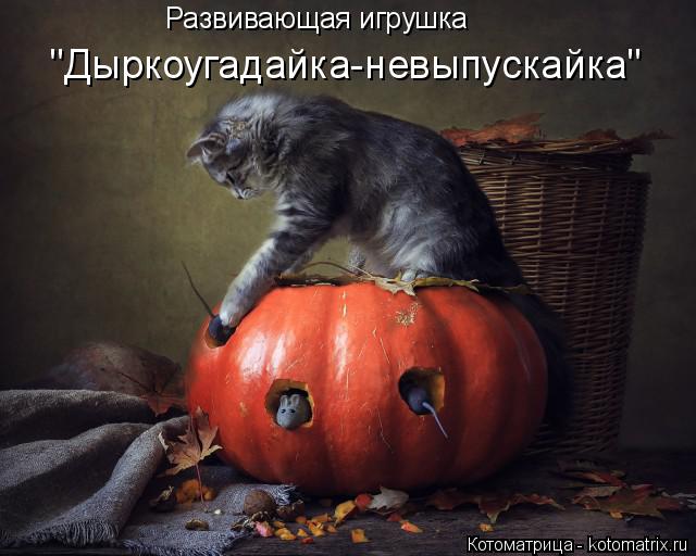 Котоматрица: Развивающая игрушка "Дыркоугадайка-невыпускайка"