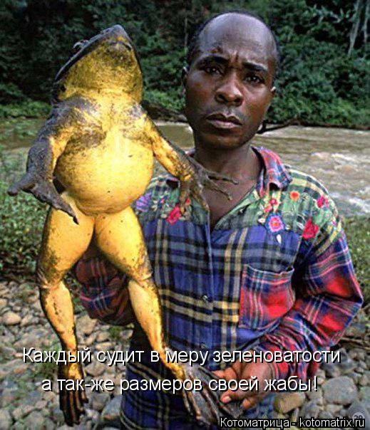 Котоматрица: Каждый судит в меру зеленоватости  а так-же размеров своей жабы!
