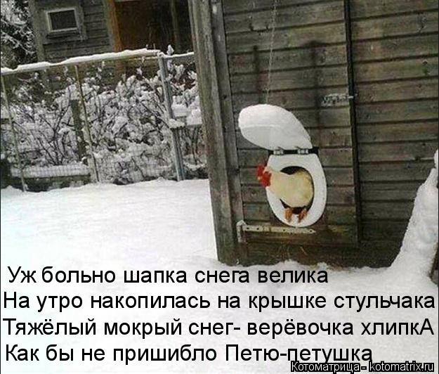 Котоматрица: Уж больно шапка снега велика На утро накопилась на крышке стульчака Тяжёлый мокрый снег- верёвочка хлипкА Как бы не пришибло Петю-петушка