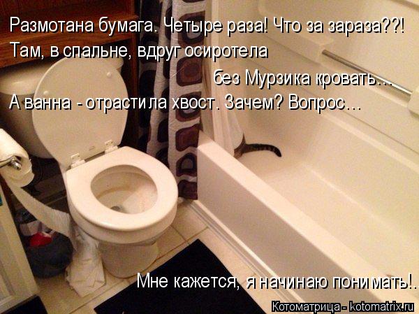 Котоматрица: Размотана бумага. Четыре раза! Что за зараза??! Там, в спальне, вдруг осиротела  без Мурзика кровать… А ванна - отрастила хвост. Зачем? Вопрос