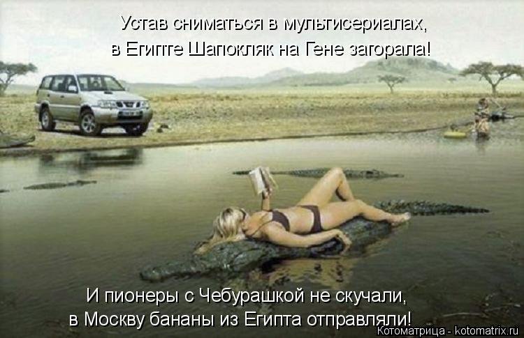 Котоматрица: в Египте Шапокляк на Гене загорала! И пионеры с Чебурашкой не скучали, в Москву бананы из Египта отправляли! Устав сниматься в мультисериал
