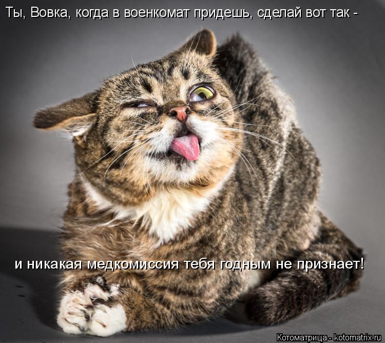 Ты, Вовка, когда в военкомат придешь, сделай вот так - и никакая медкомиссия тебя годным не признает... Котоматрица: Ты, Вовка, когда в военкомат придешь, сделай вот так - и никакая медкомиссия тебя годным не признает!