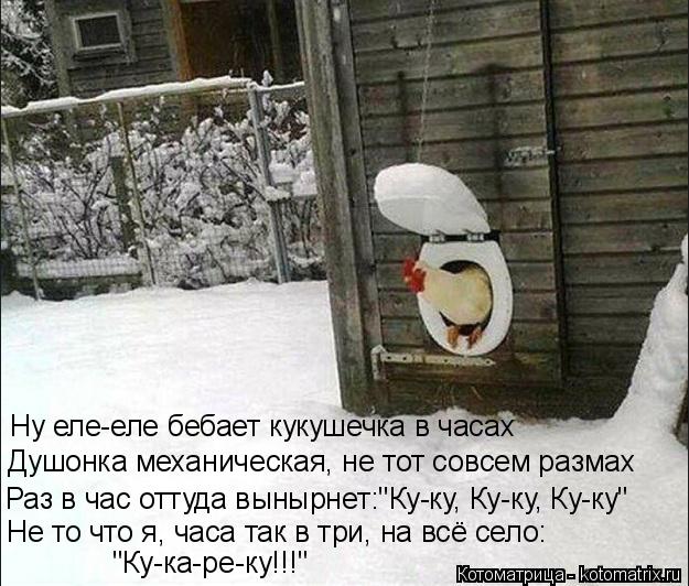 Котоматрица: Ну еле-еле бебает кукушечка в часах Душонка механическая, не тот совсем размах Раз в час оттуда вынырнет:"Ку-ку, Ку-ку, Ку-ку" Не то что я, часа 