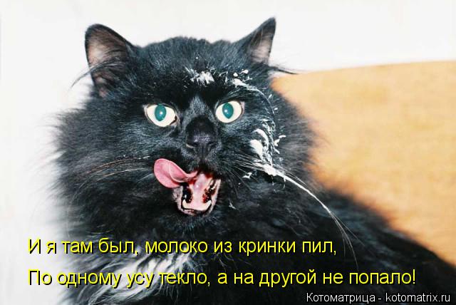Котоматрица: И я там был, молоко из кринки пил, По одному усу текло, а на другой не попало!