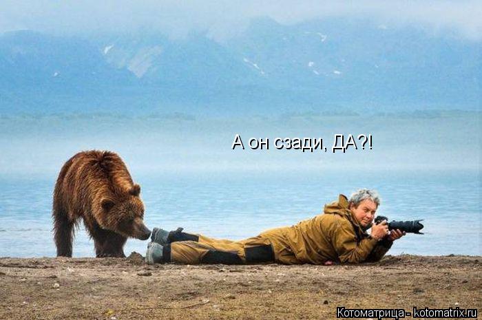 Котоматрица: А он сзади, ДА?!