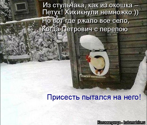 Котоматрица: Из стульчака, как из окошка –  Петух! Хихикнули немножко )) Но вот где ржало все село, Когда Петрович с перепою  Присесть пытался на него!