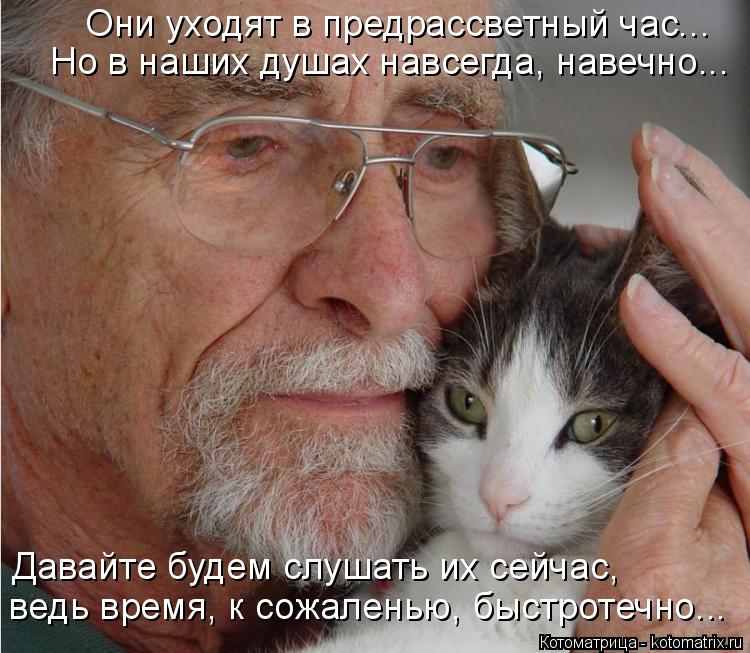 Котоматрица: Они уходят в предрассветный час... Но в наших душах навсегда, навечно... Давайте будем слушать их сейчас,  ведь время, к сожаленью, быстротечно