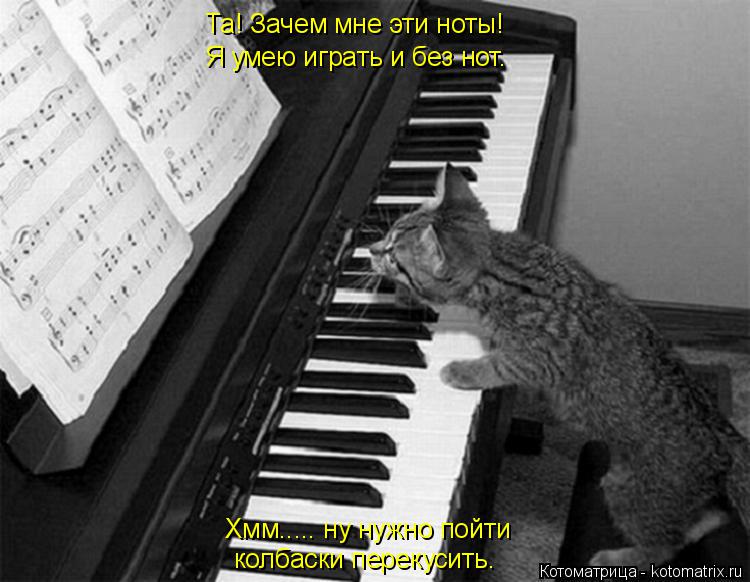 Котоматрица: Та! Зачем мне эти ноты!  Я умею играть и без нот. Хмм..... ну нужно пойти колбаски перекусить.