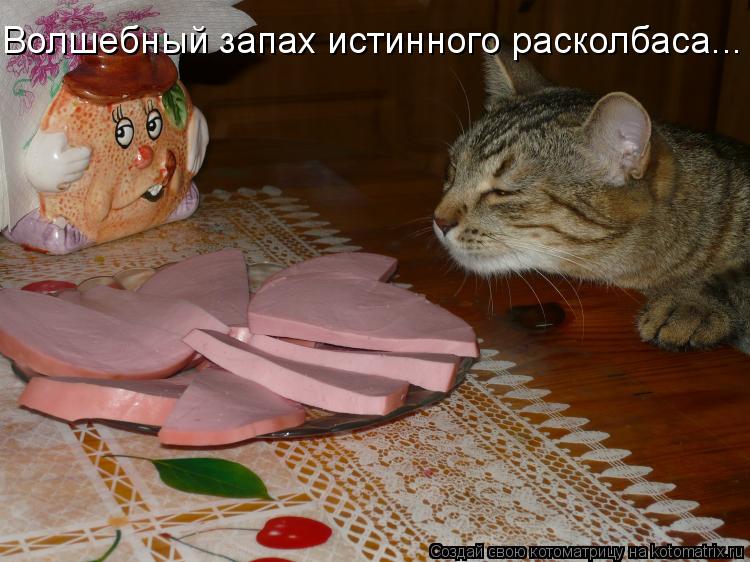 Котоматрица: Волшебный запах истинного расколбаса...