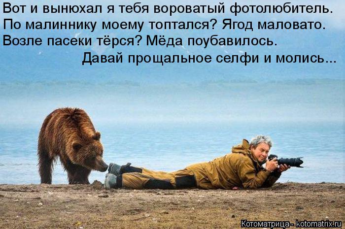 Котоматрица: Вот и вынюхал я тебя вороватый фотолюбитель. По малиннику моему топтался? Ягод маловато. Возле пасеки тёрся? Мёда поубавилось. Давай прощал