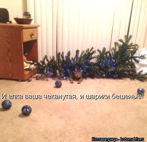 Котоматрица: И елка ваша чеканутая, и шарики бешеные!