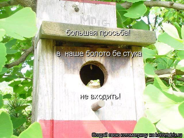 Котоматрица: большая просьба!  в  наше болото бе стука не вxодить!