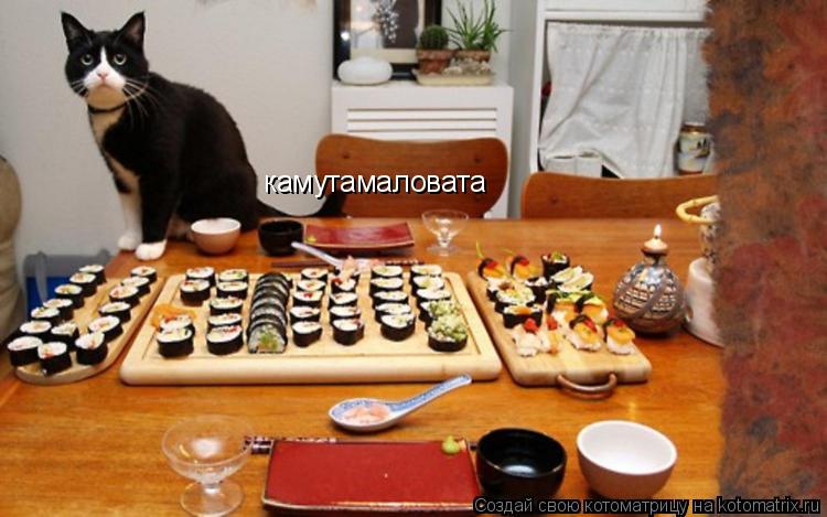 Котоматрица: камутамаловата