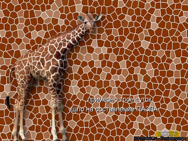 Котоматрица: примерно трое суток ушло на составление ПА3ЛА