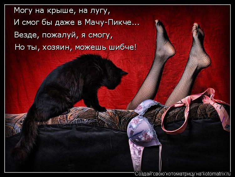 Могу на крыше, на лугу, И смог бы даже в Мачу-Пикче... Везде, пожалуй, я смогу, Но ты, хозяин, можешь... Котоматрица: Могу на крыше, на лугу, И смог бы даже в Мачу-Пикче... Везде, пожалуй, я смогу, Но ты, хозяин, можешь шибче!