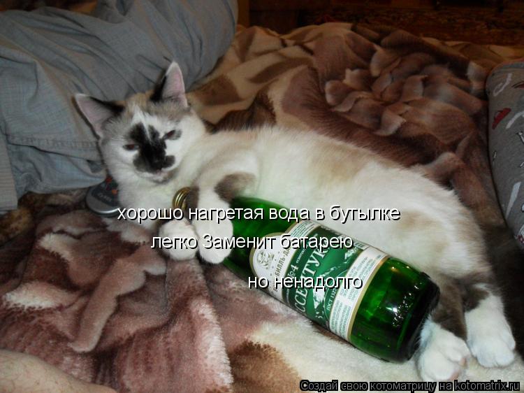 Котоматрица: xорошо нагретая вода в бутылке  но ненадолго легко 3аменит батарею