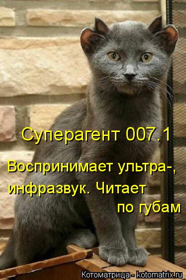 Котоматрица: Суперагент 007.1 Воспринимает ультра-, инфразвук. Читает  по губам