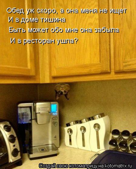 Котоматрица: Обед уж скоро, а она меня не ищет И в доме тишина  Быть может обо мне она забыла И в ресторан ушла?