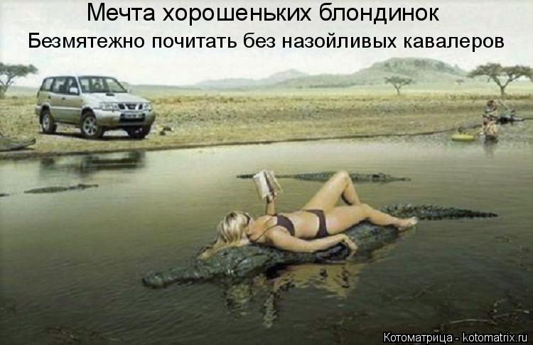 Котоматрица: Мечта хорошеньких блондинок Безмятежно почитать без назойливых кавалеров