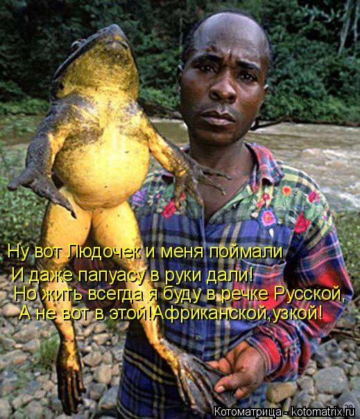 Котоматрица: Ну вот Людочек и меня поймали И даже папуасу в руки дали! Но жить всегда я буду в речке Русской, А не вот в этой!Африканской,узкой!